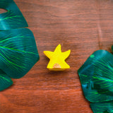 Star Fish Miniature