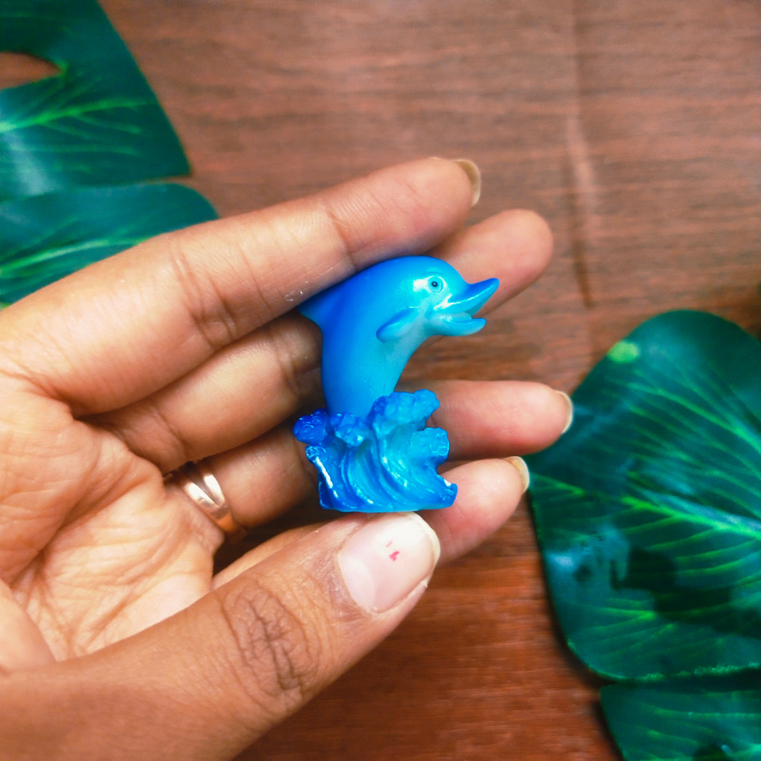 Dolphin Miniature