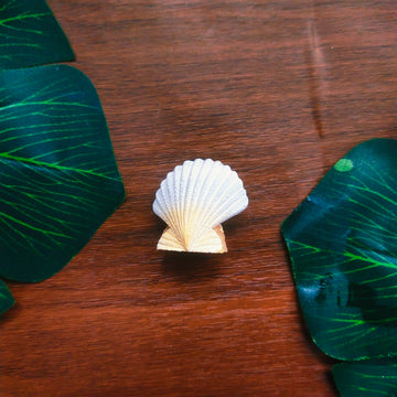 Sea Shell Miniature