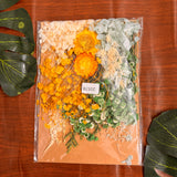 Dry Flowers Pack