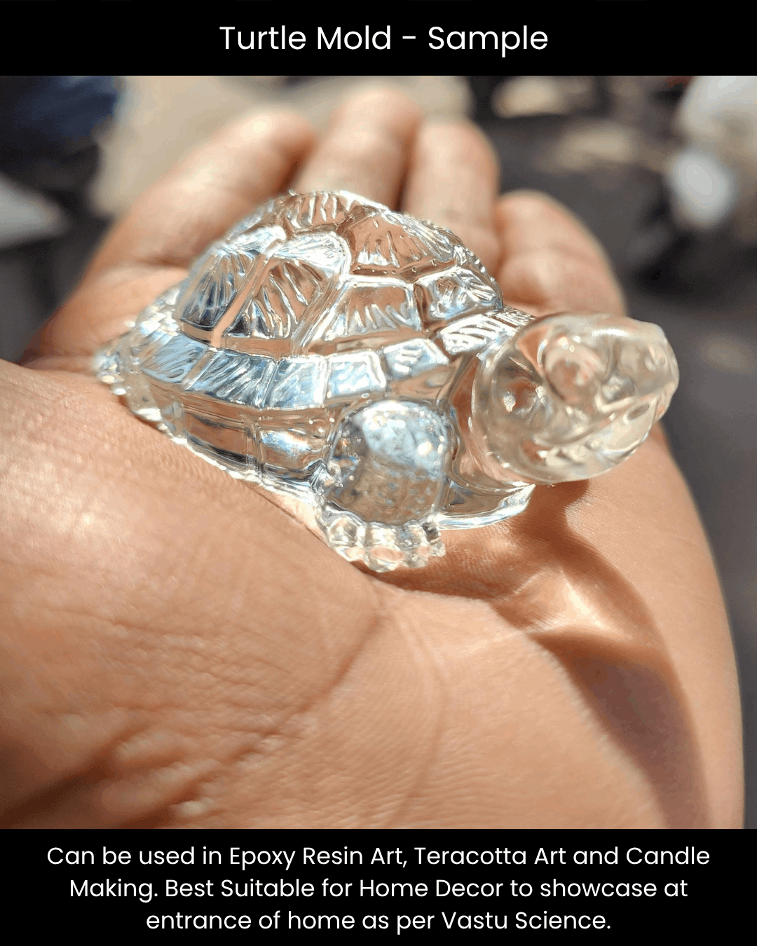 Shop Turtle Mold for epoxy resin