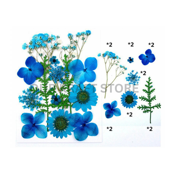 Dry Flower Sheet