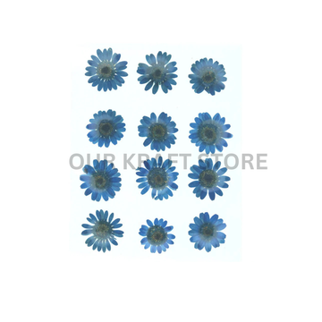Blue Daisy Flowers