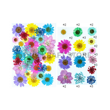 Mix Flower Press On Sheet