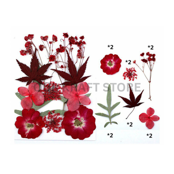 Dry Flower Sheet