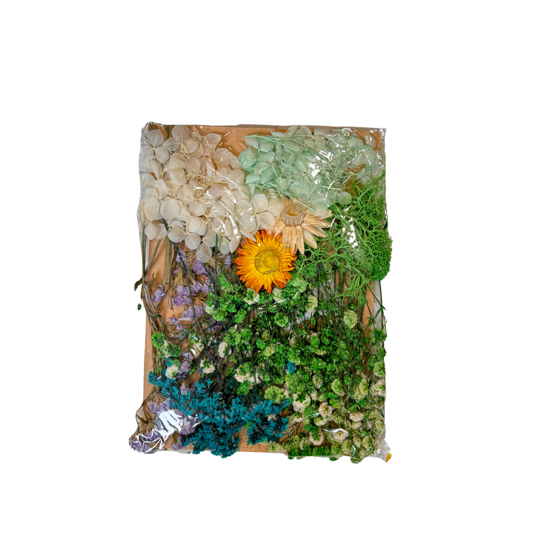 Dry Flowers Pack (Green)