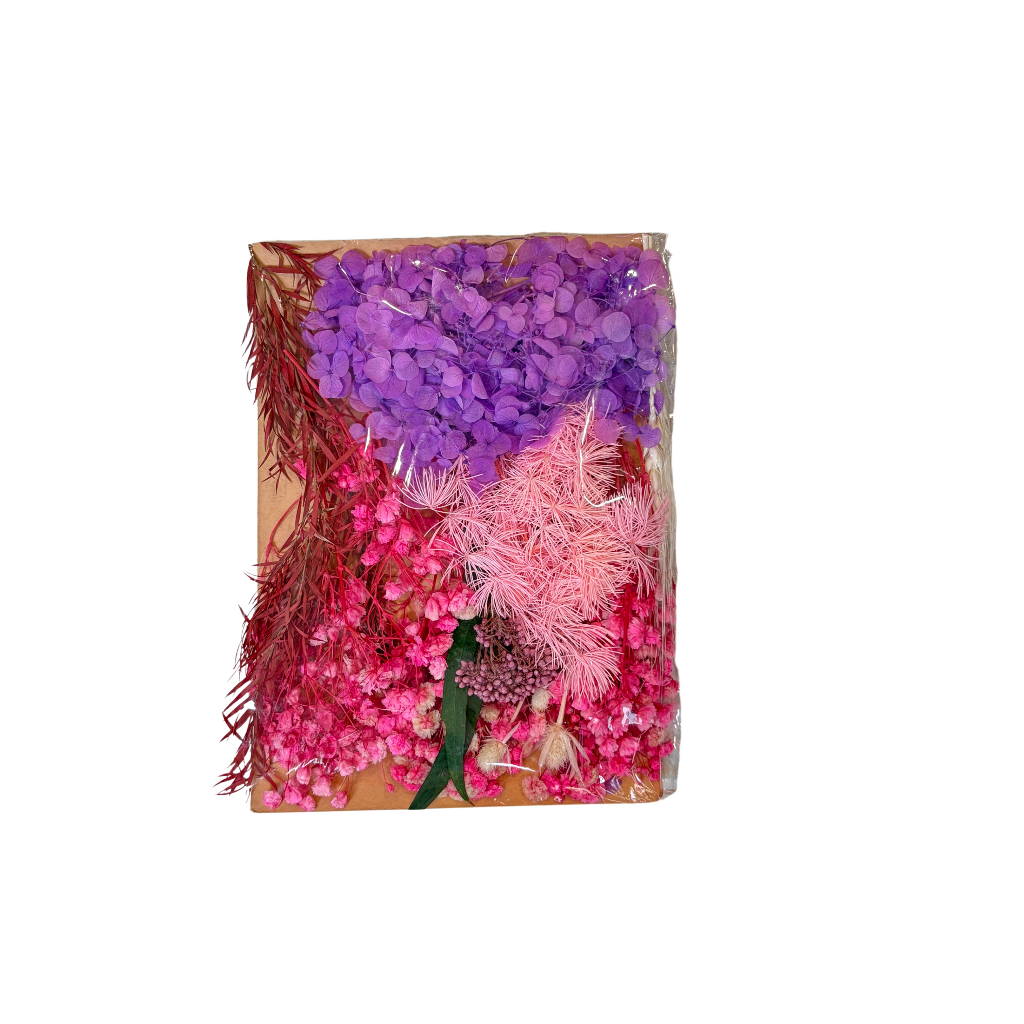 Dry Flowers Pack (Purple)