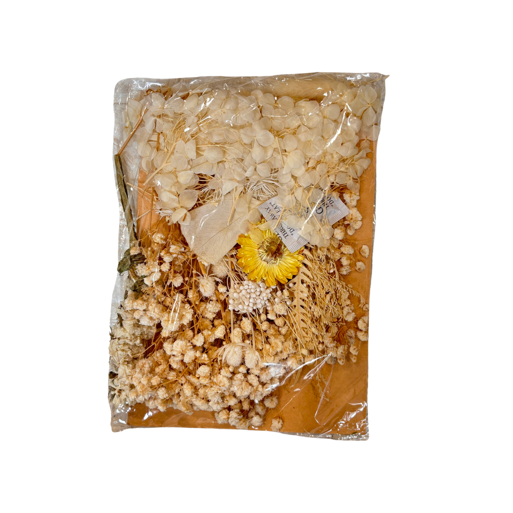 Dry Flowers Pack (White)