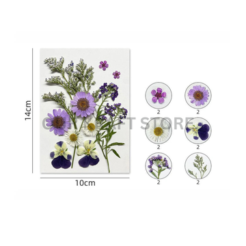 Dry Press on Flower Sheet