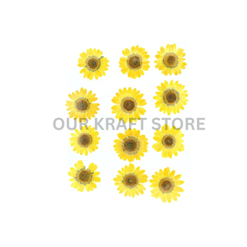 Yellow Daisy Flowers